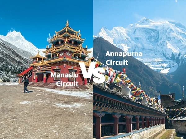 Comparing Manaslu Circuit and Annapurna Circuit trekking routes in Nepal