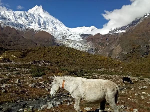A glimpse of Manaslu Conservation Area, Nepal