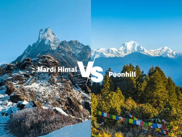 Comparing Mardi Himal Trek with Poonhill Trek