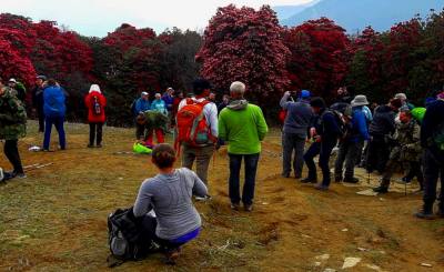 Top Five Popular trek in Nepal