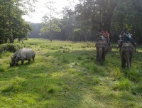 Chitwa Jungle Safari