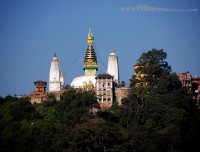 Swyambhunata/Monkey Temple